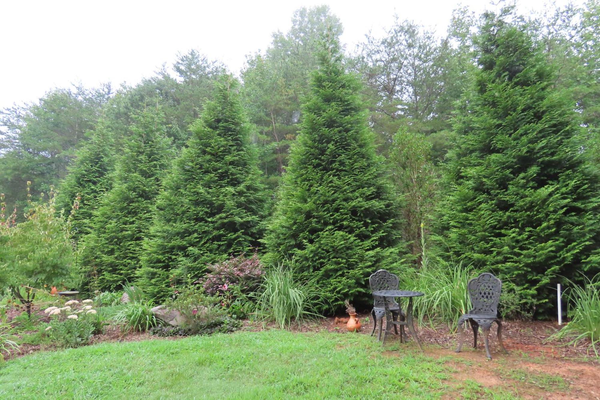 Scenic Fox Ridge Cabin On 4 Acres With Hot Tub! Whittier Екстериор снимка